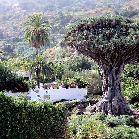 El Rincon With Teide View III Daire Icod De Los Vinos Dış mekan fotoğraf